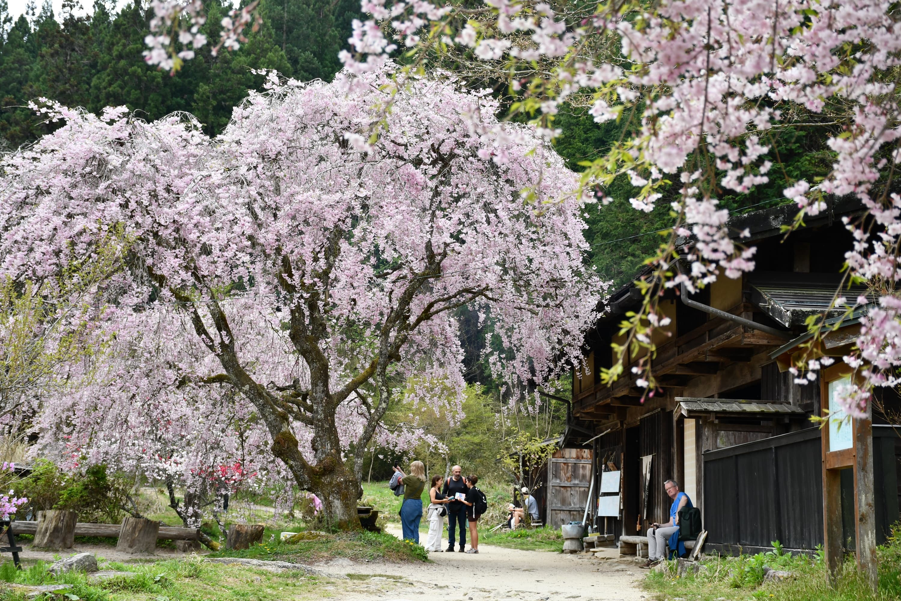 穿越山间风景,徒步于宿场之间