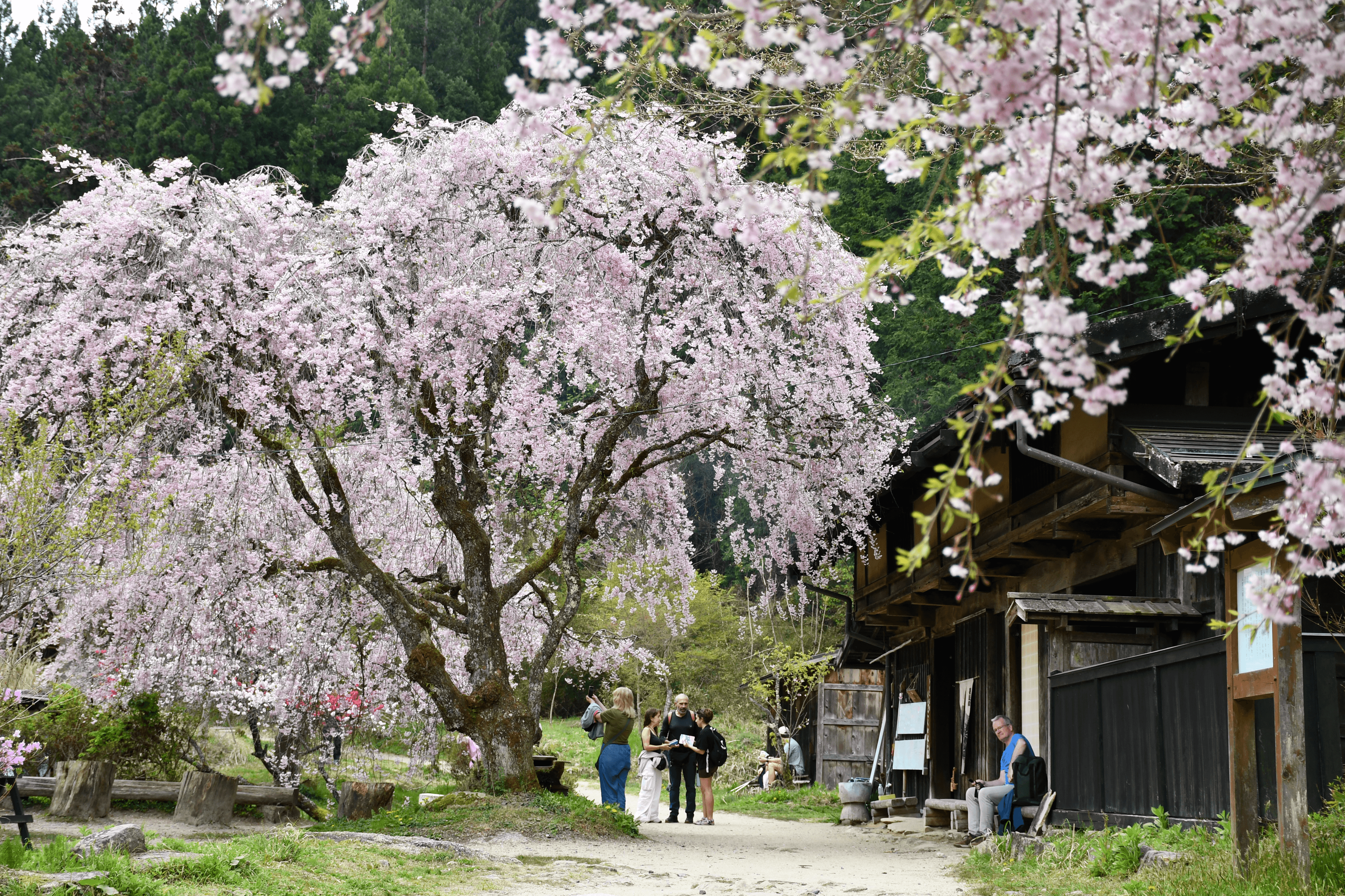 一石栃立场茶屋